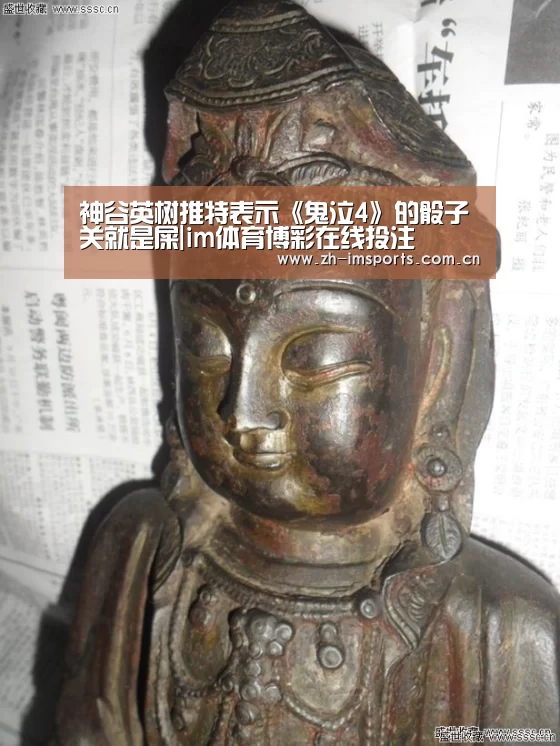im体育欧洲杯