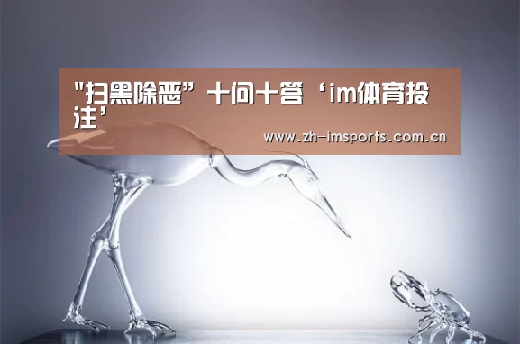im体育欧洲杯
