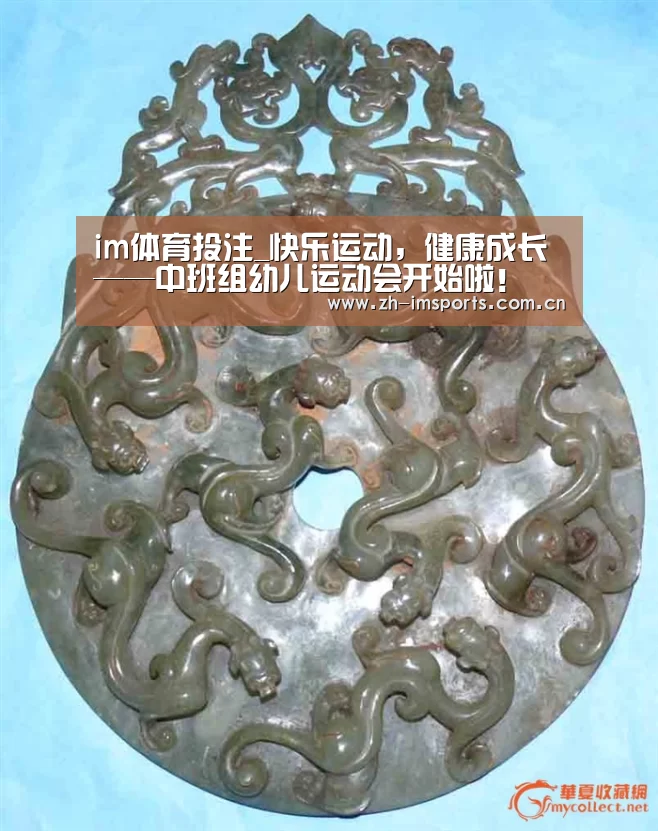 im体育博彩在线投注