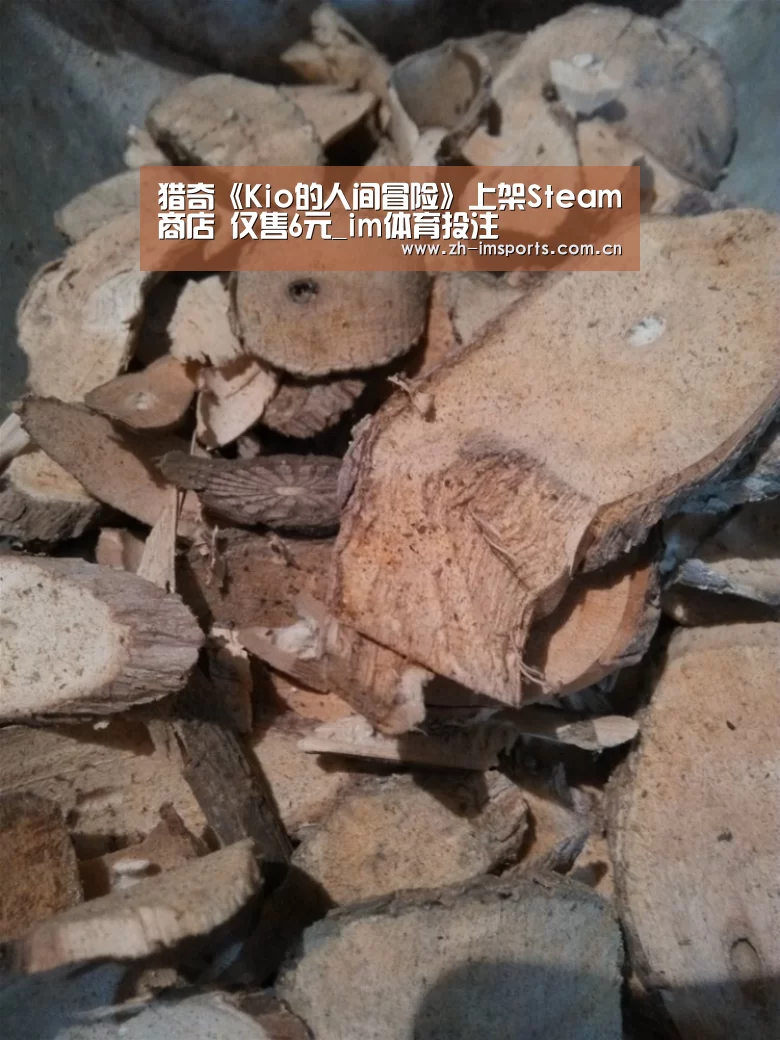 im体育欧洲杯